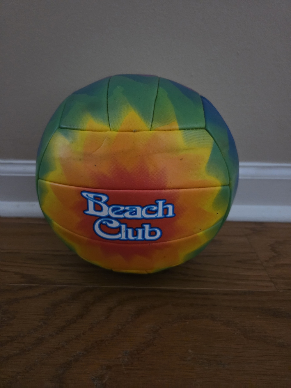 Beach Club Tie-Dye Volleyball - Multicolor